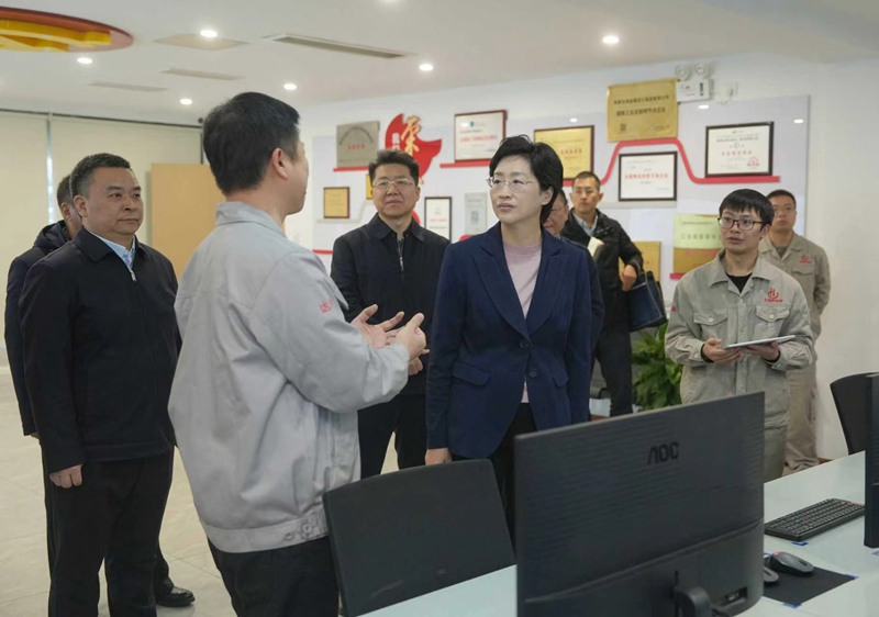 施小琳在调研民生实事推进落实情况时强调