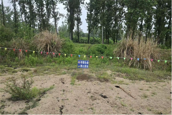 南召县白土岗镇:织密防溺“安全网”筑牢生命“防护堤”