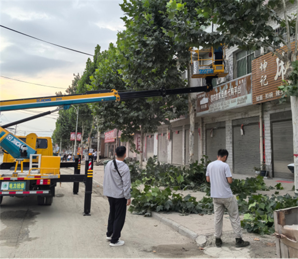 南召县白土岗镇：整治树枝侵线风险 筑牢镇区安全防线