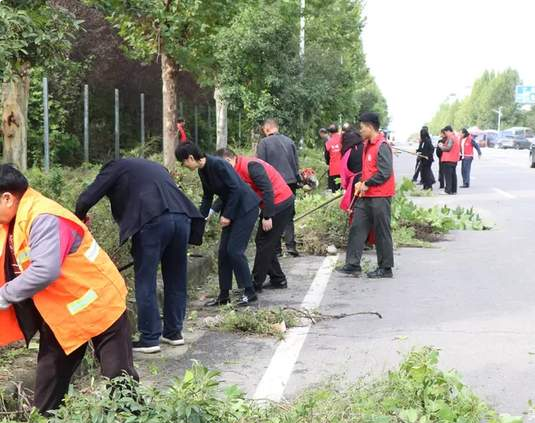 环境整治乡村美 党员干部率先行