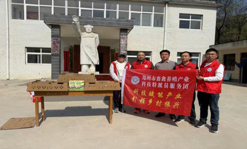郑州市畜禽养殖产业科技特派员服务团  捐赠鸡苗振兴乡村 助力禽业提质增收