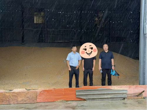 风雨无阻办实事 金融助农暖人心
